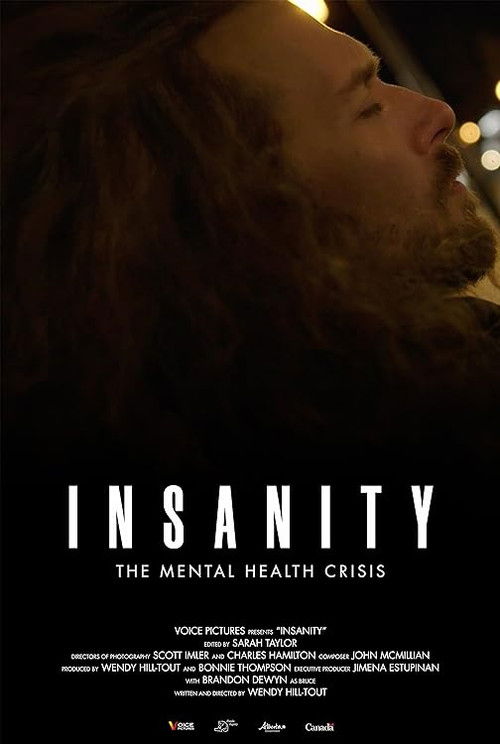 Insanity (2022) poster