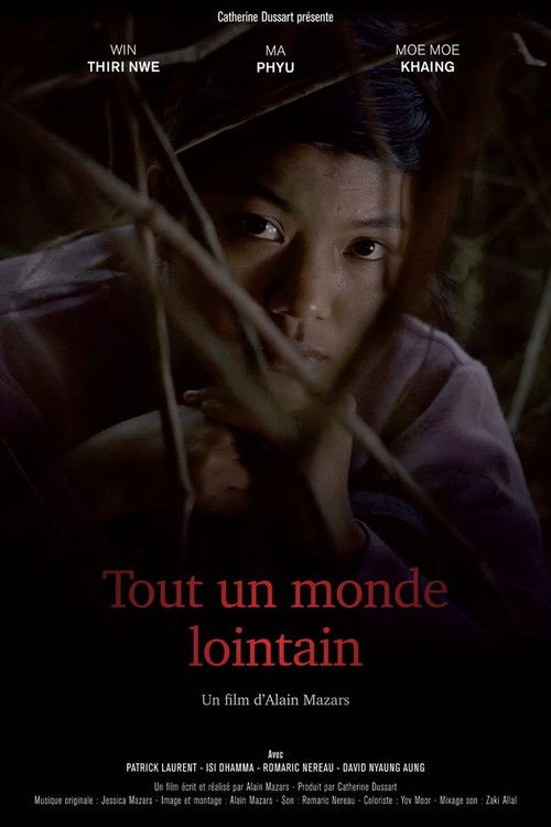Tout un monde lointain (2017) poster