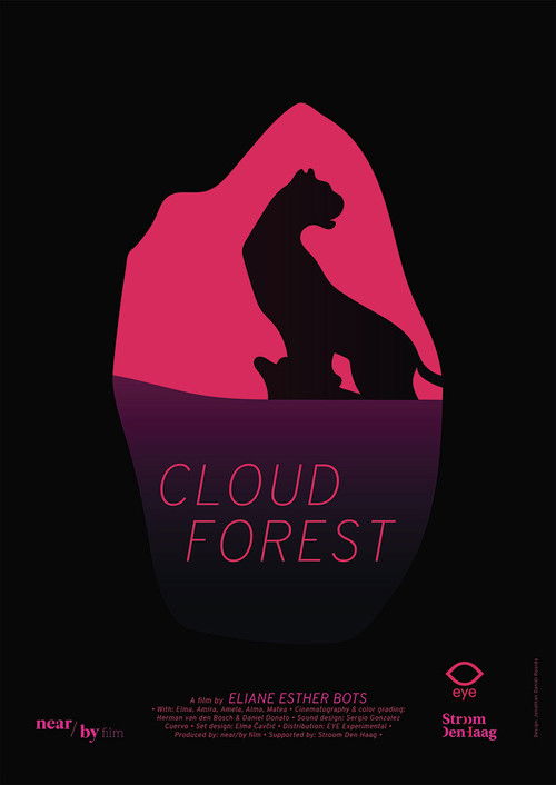 Cloud Forest (2019) poster