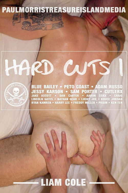 Hard Cuts I (2014) poster