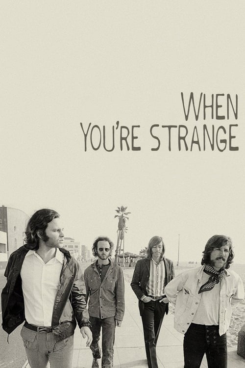 When You're Strange (2010) poster