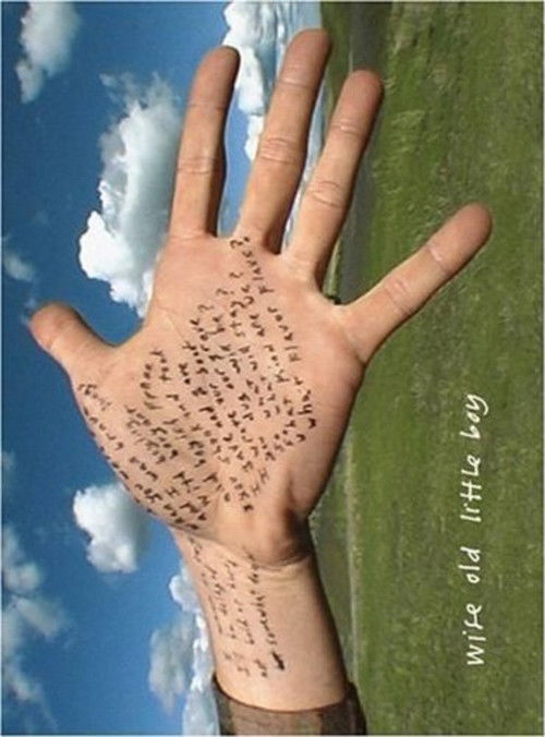 Wise Old Little Boy (2004) poster