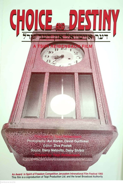 הבחירה והגורל (1994) poster
