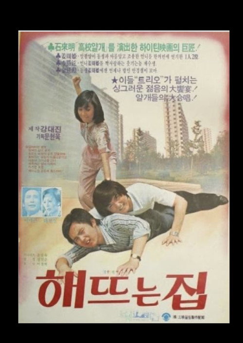 해뜨는 집 (1980) poster