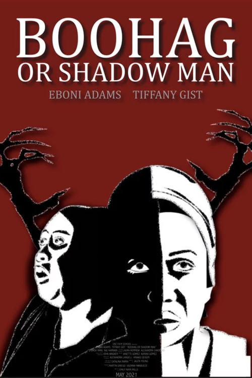 Boo Hag or Shadow Man (2021) poster