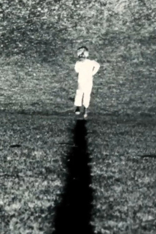 In the form of the letter X (1985) poster