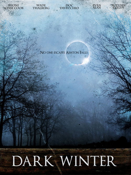 Dark Winter (2018) poster