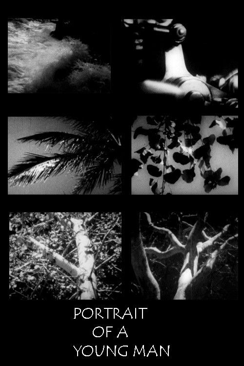 Portrait of a Young Man in Three Movements (1931) poster