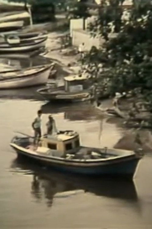 O Grito do Rio (1981) poster