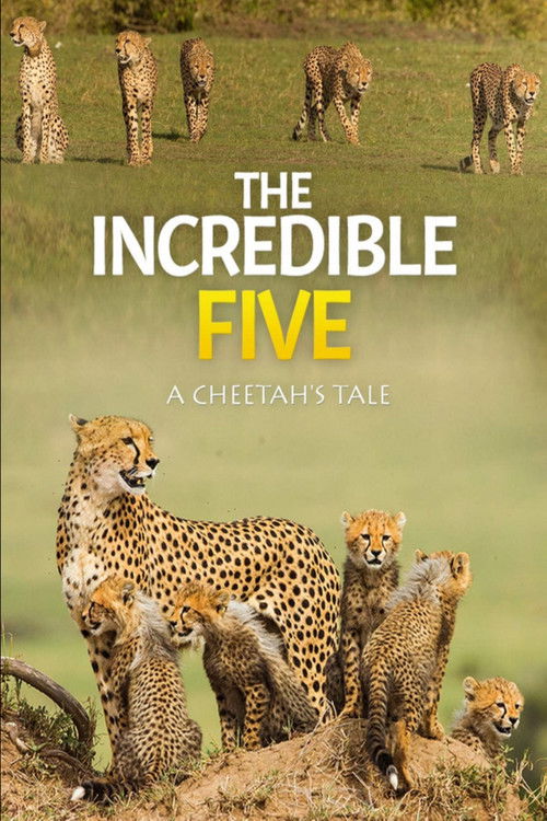 The Incredible Five: A Cheetah's Tale (2020) poster