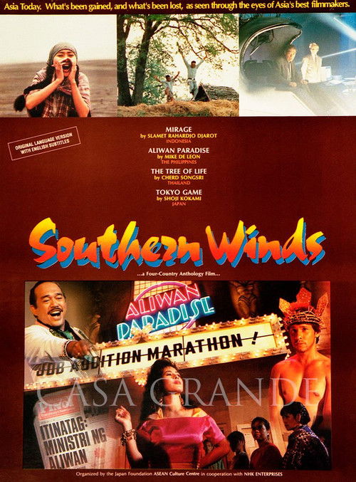 Southern Winds (1993) poster