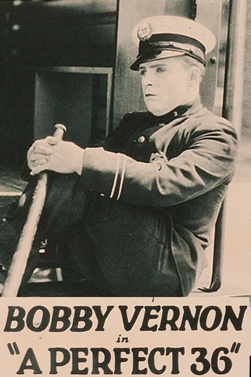 A Perfect 36 (1923) poster