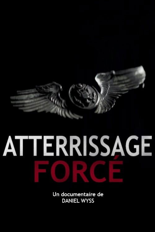 Atterrissage forcé (2015) poster