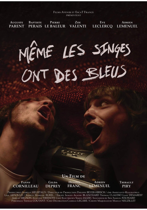Même les singes ont des bleus (2024) poster