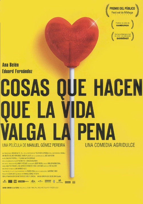 Cosas que hacen que la vida valga la pena (2004) poster