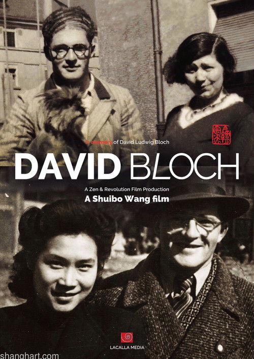 Who is David Bloch (2025) poster