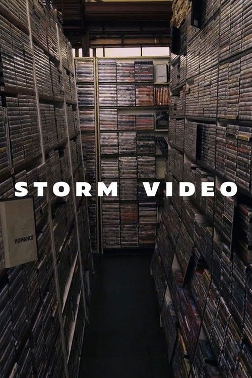 Storm Video (2021) poster