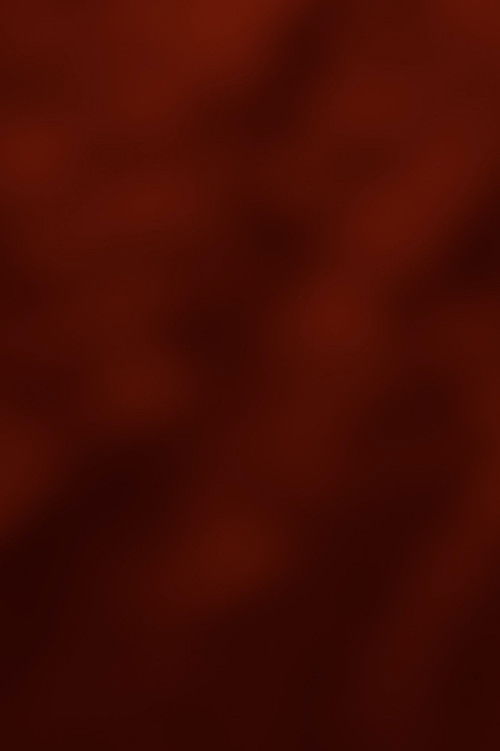 Dissolve the Walls (2025) poster