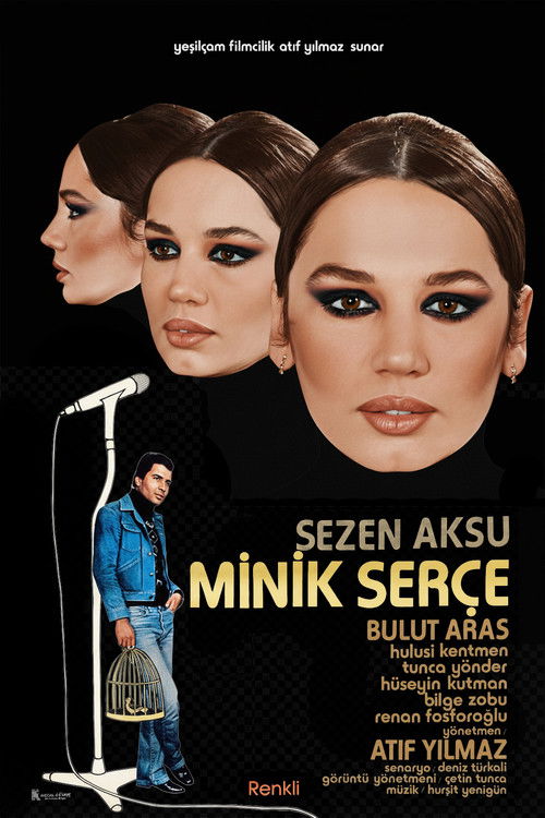 Minik Serçe (1979) poster