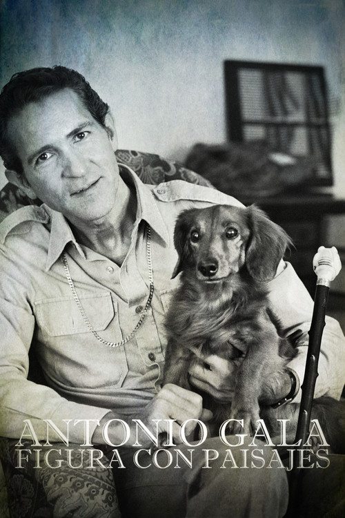 Antonio Gala: figura con paisajes (2015) poster