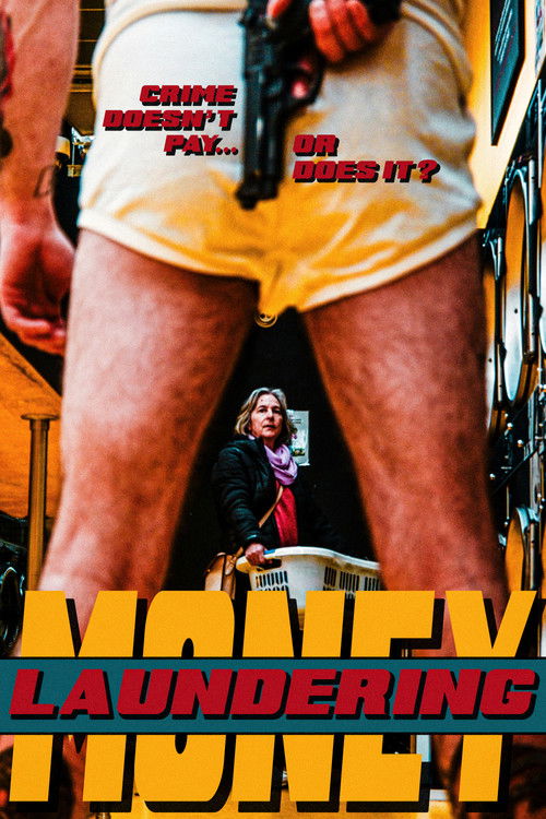 Money Laundering (2025) poster
