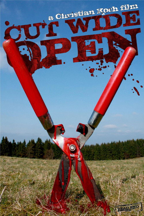 Cut Wide Open (2010) poster