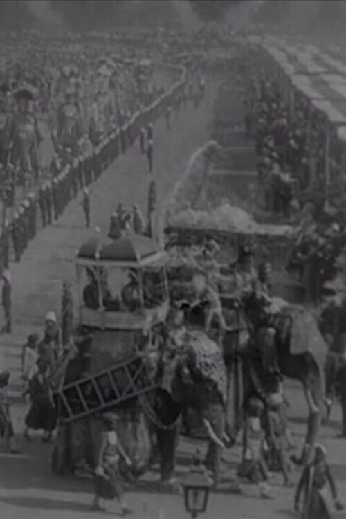 Delhi Durbar (1902) poster