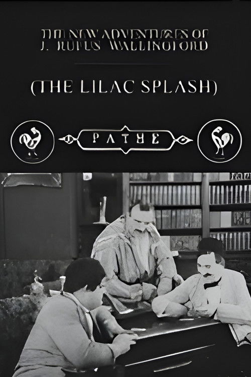 The Lilac Splash (1915) poster