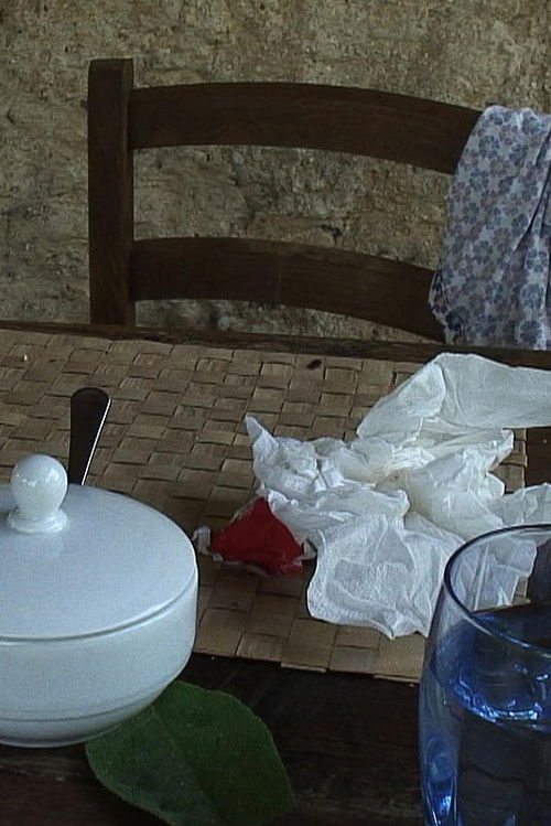 Roman Diary (2011) poster