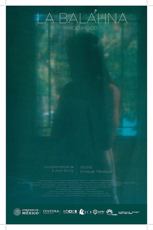 Maidenhood (2022) poster