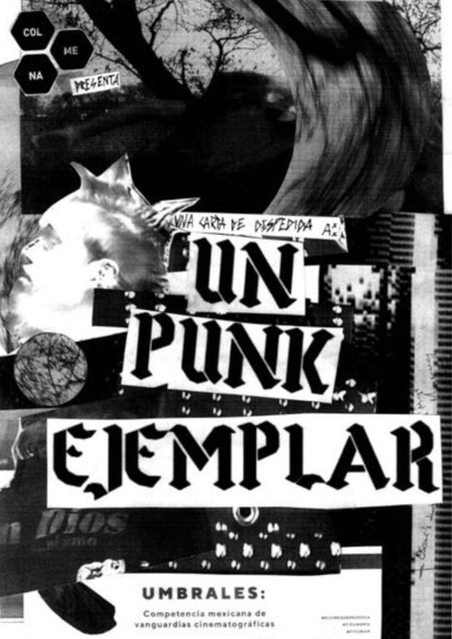 An Exemplary Punk (2023) poster