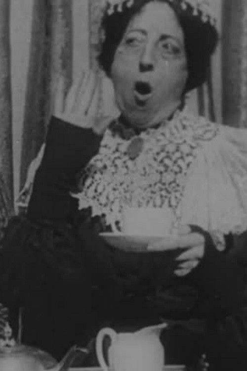 Scandal Over the Teacups (1900) poster