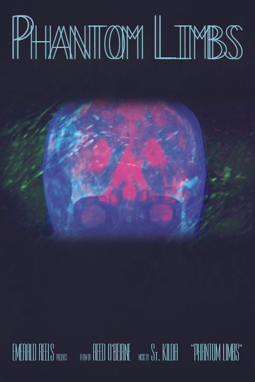 Phantom Limbs (2016) poster