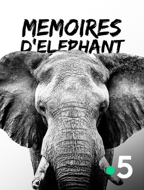 Mémoires d'éléphant (2018) poster