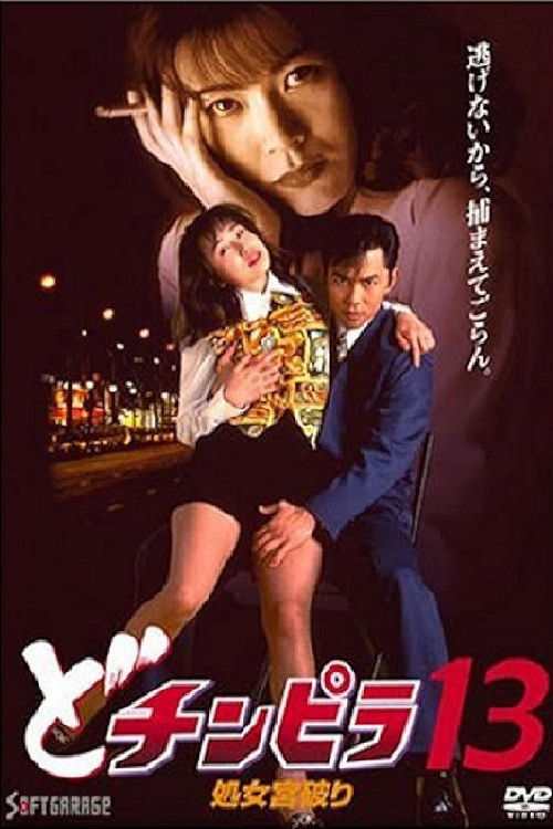 Dochinpira 13: Virgin Palace Breaking (1995) poster