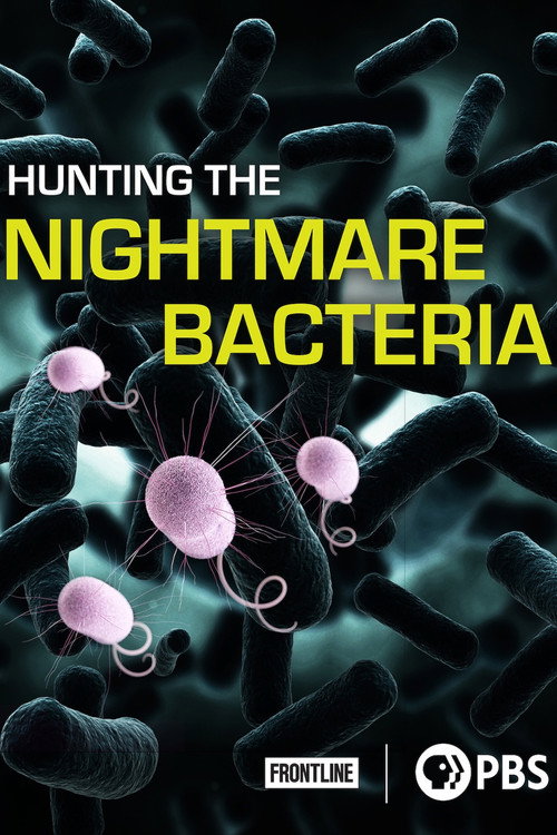 Hunting The Nightmare Bacteria (2013) poster