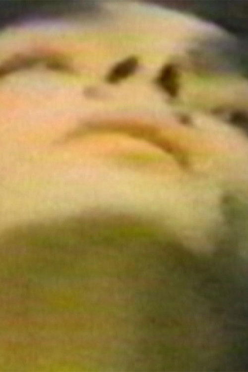 The Hundred Videos #1 (1996) poster