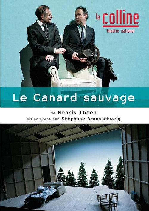 Le Canard sauvage (2014) poster