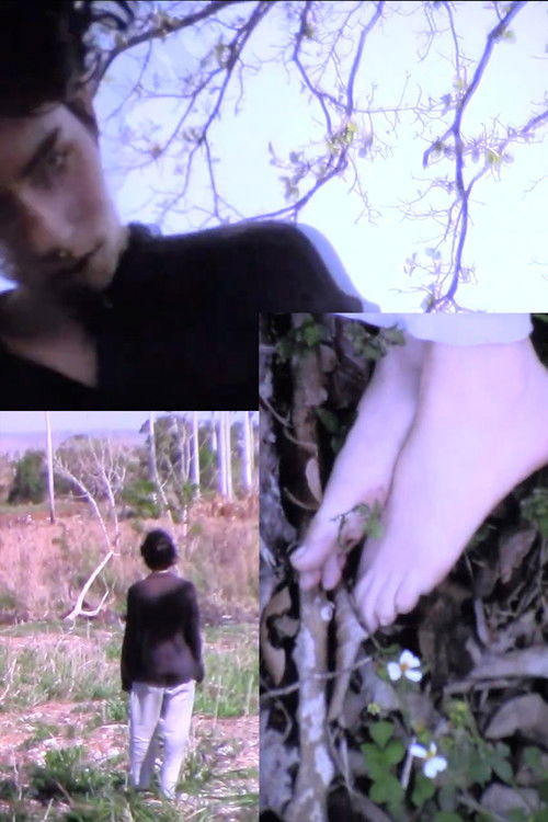 testifica mi vanidad poster