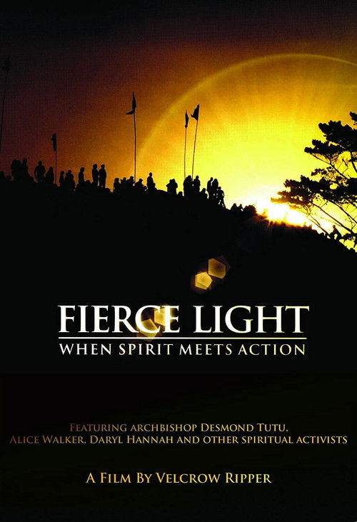 Fierce Light: When Spirit Meets Action (2008) poster