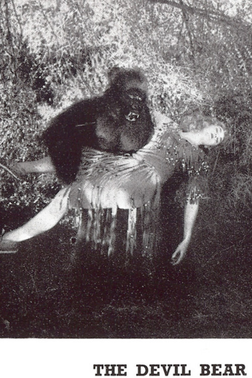 The Devil Bear (1929) poster