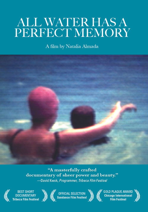 All Water Has a Perfect Memory (2001) poster