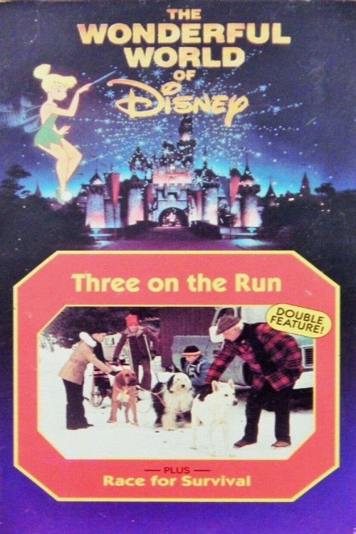 Race for Survival (1978) poster