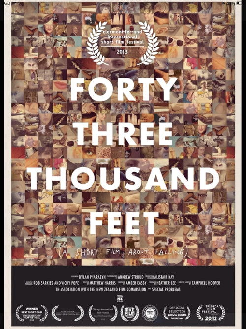 43,000 Feet (2012) poster