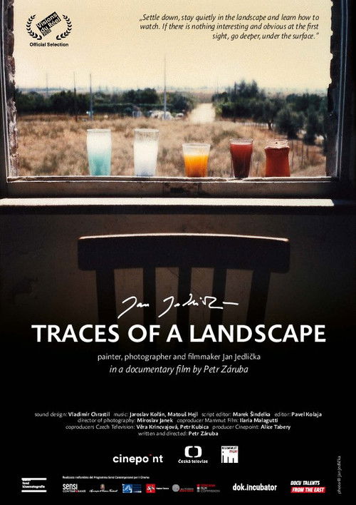 Traces of a Landscape (2021) poster