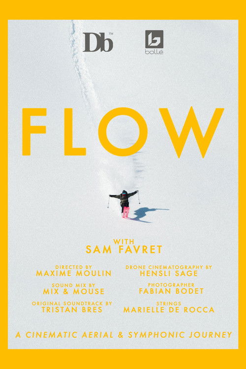 FLOW (2021) poster