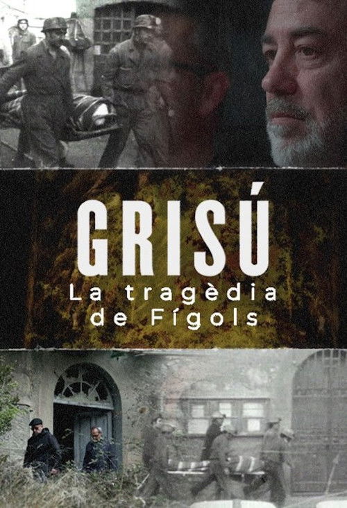 Grisú, la tragèdia de Fígols (2024) poster