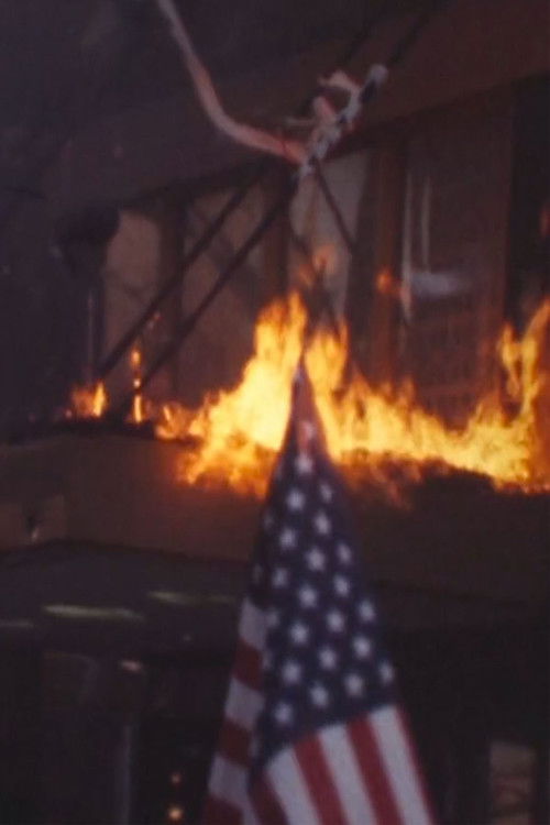 The Night in the Last Branches (2017) poster