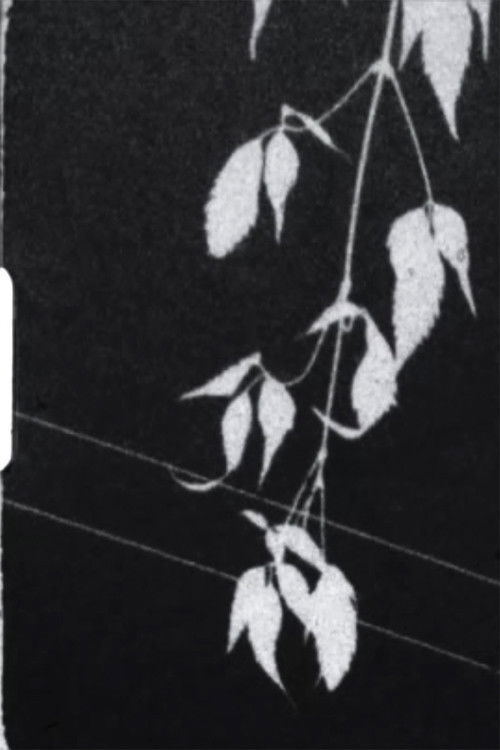 Effulgence (2014) poster