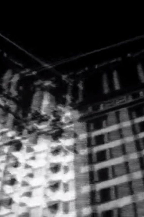 Blue Line Chicago (2014) poster